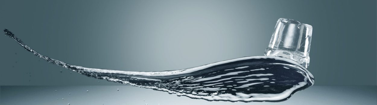 Scotsman Ice Rentals